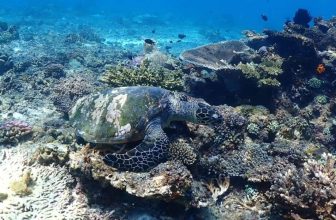 Komodo National Park